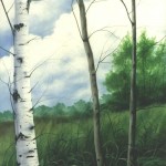 Alberi Spogli