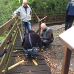 A caccia della traccia (1)