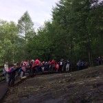 A caccia della traccia